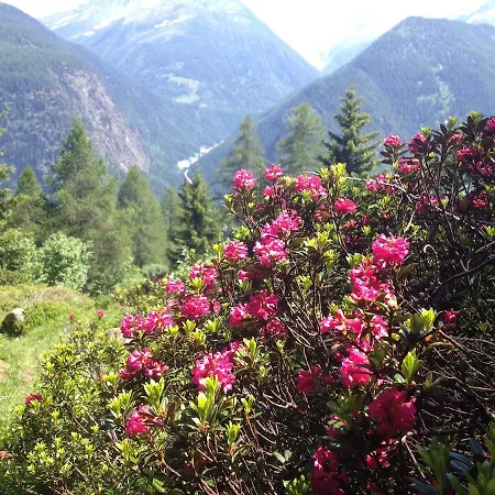 فندق Suisse Chatelard